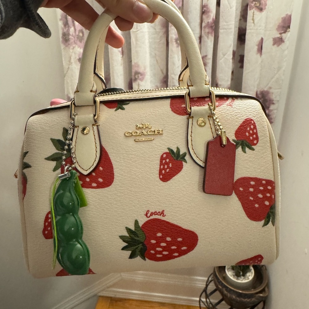 Mini Rowan Strawberry coach bag